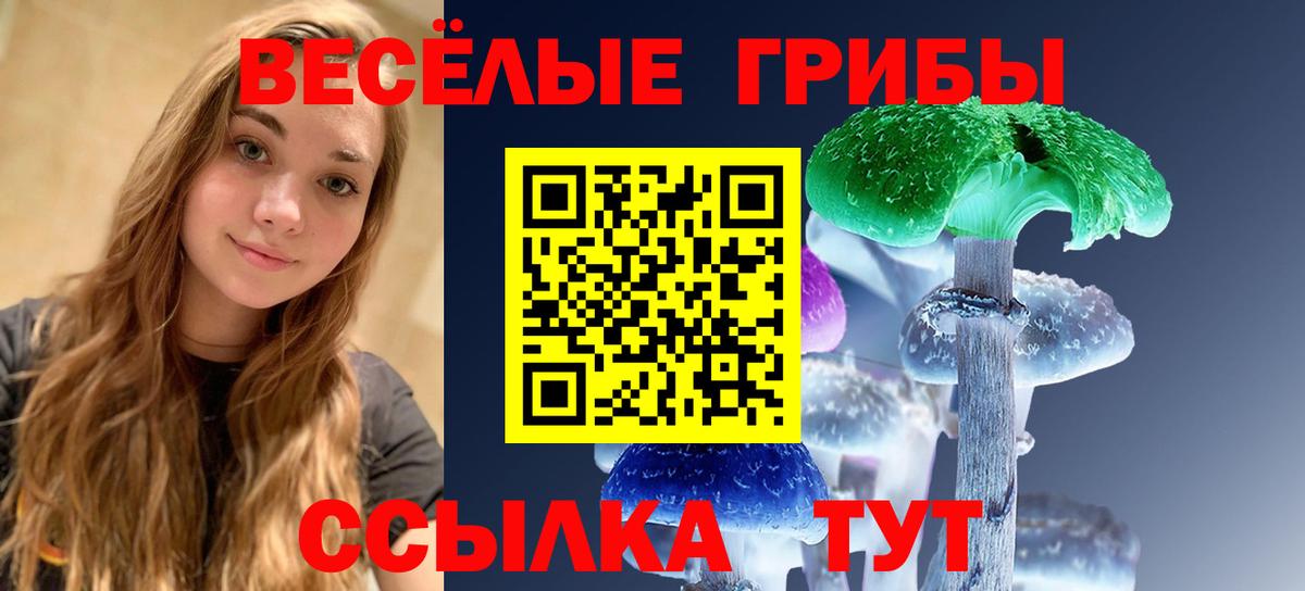 Псилоцибиновые грибы Magic Shrooms  Вход с VPN  Прохладный  Галлюциногенные грибы Magic Shrooms 