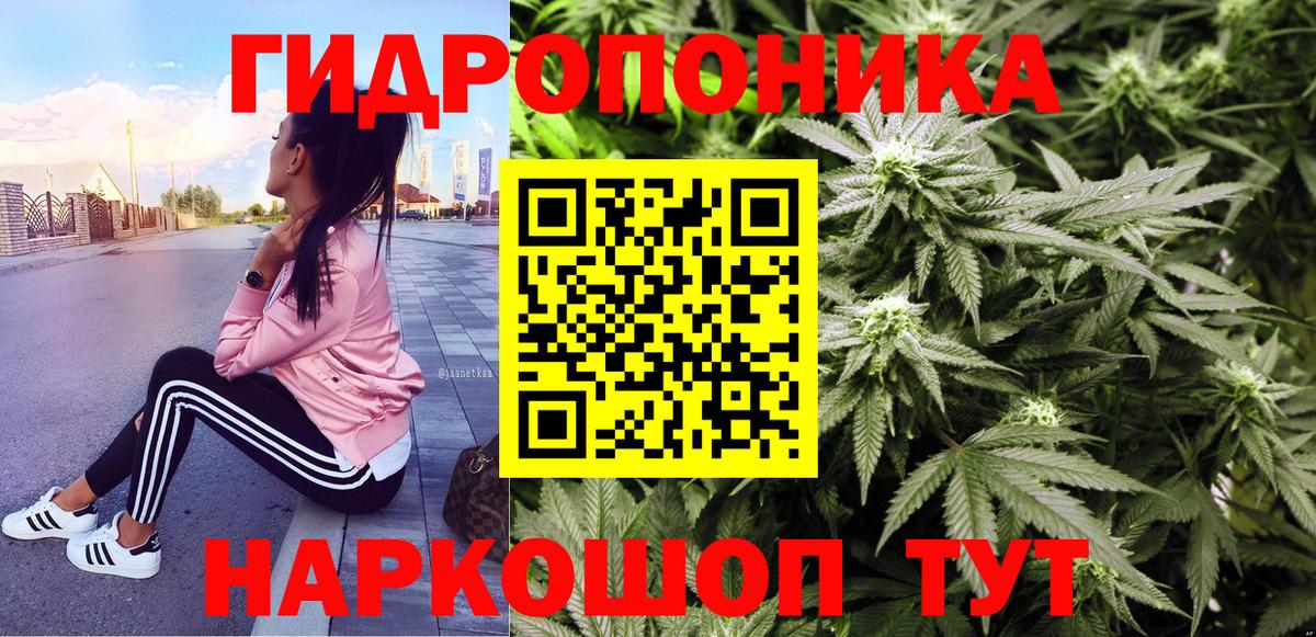 Прохладный  Конопля тримм  Марихуана планчик  Вход с VPN 